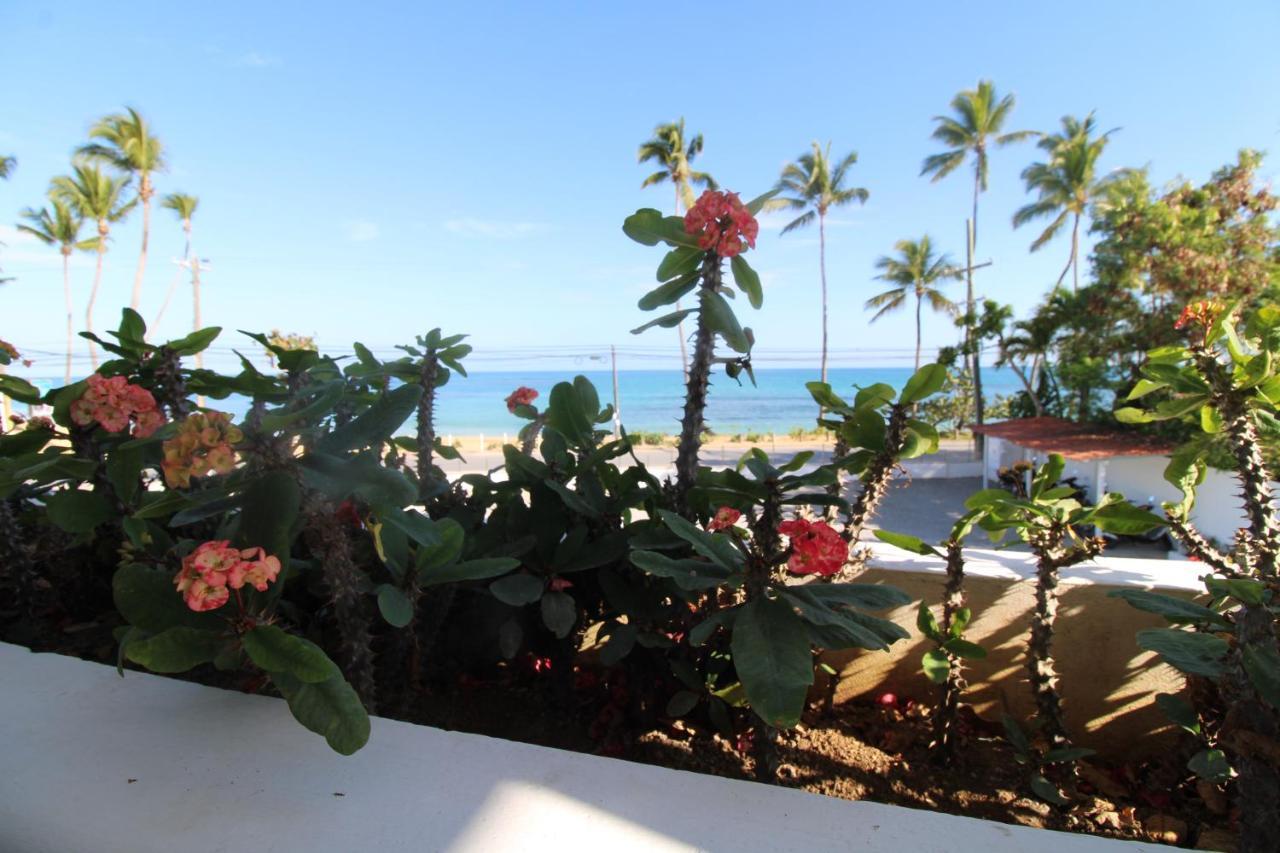 Albachiara Hotel - Las Terrenas Exteriér fotografie